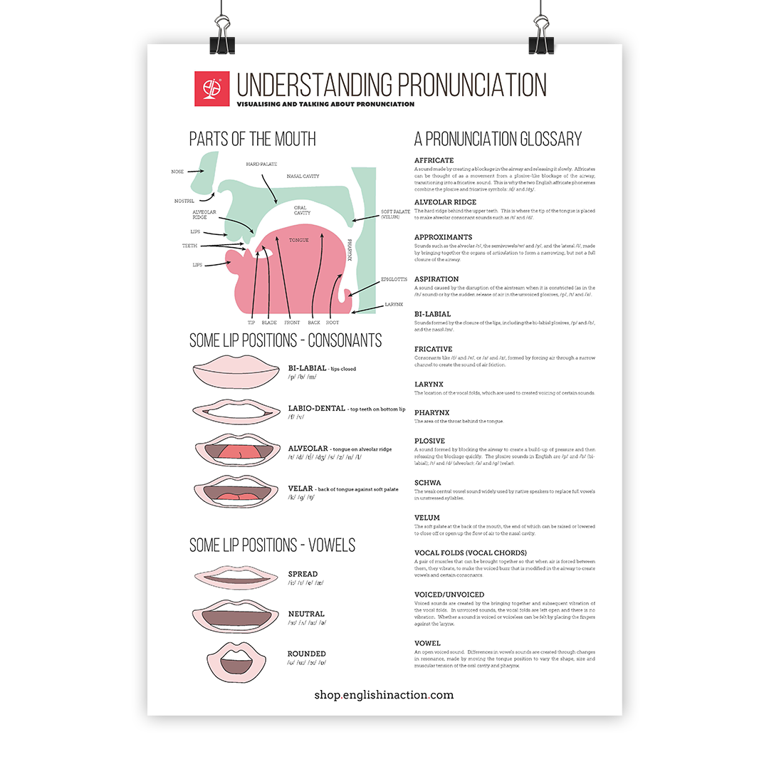 Understanding Pronunciation | EFL Classroom Poster - TEFL-Toolkit.com