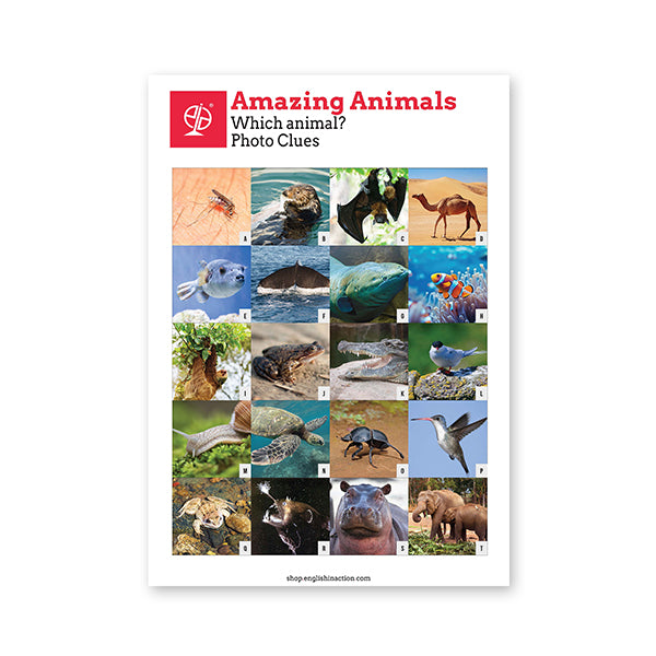 Amazing Animals | English and Science Reading and Quiz for EFL Learners - shop.englishinaction.com