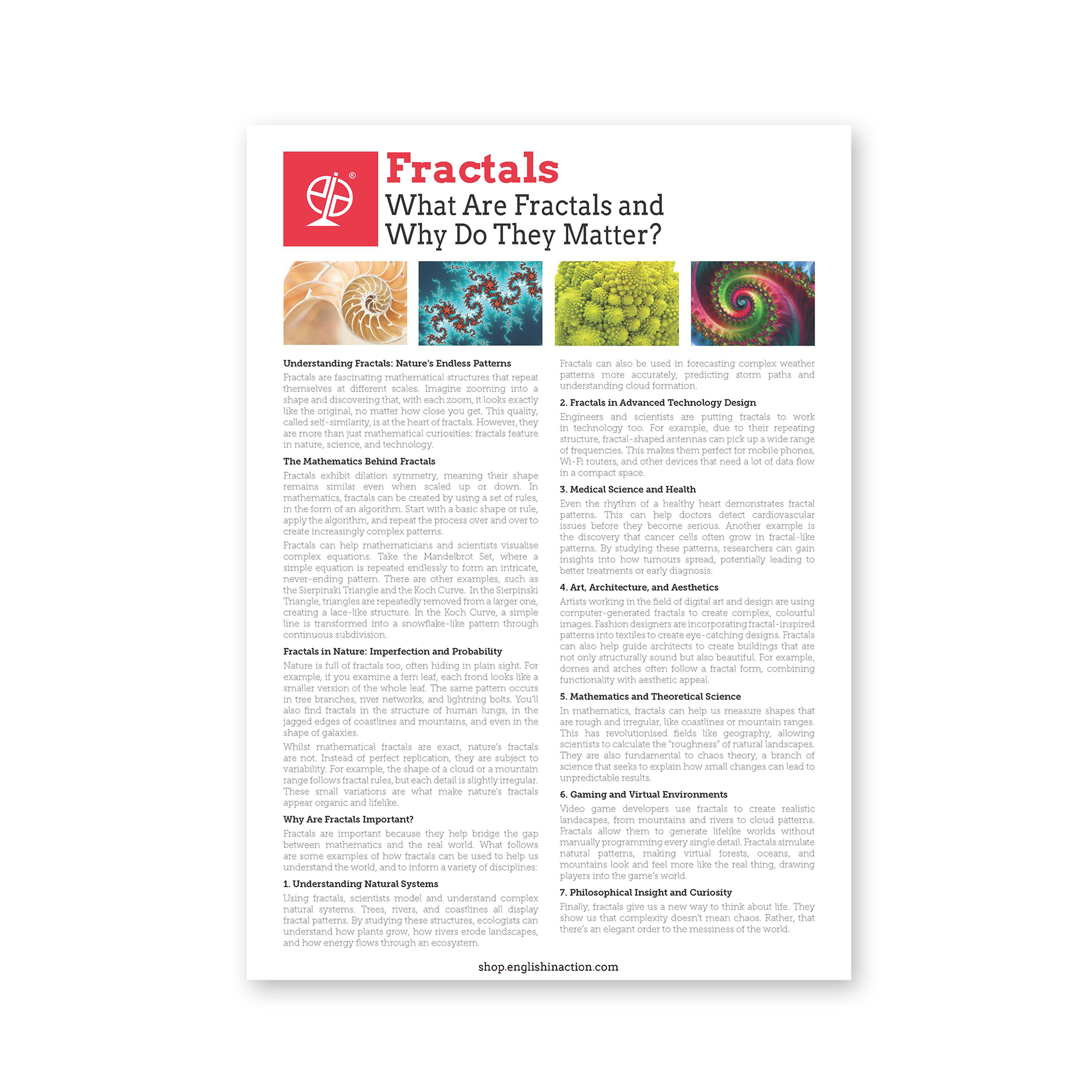 Fractals Text | EFL Resource - TEFL-Toolkit.com