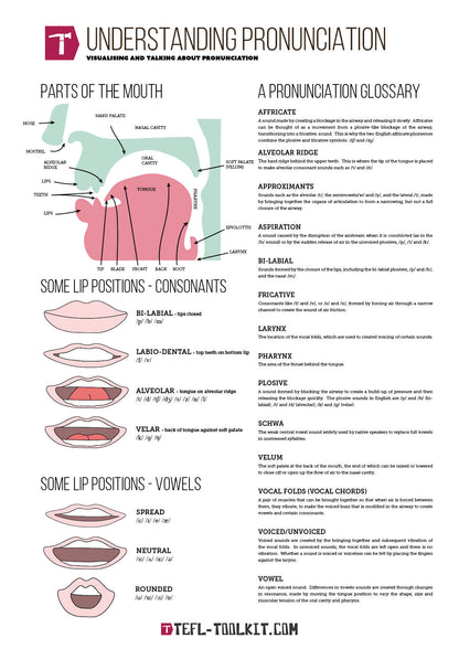 Understanding Pronunciation Poster | English Pronunciation | Virtual Poster - TEFL-Toolkit.com