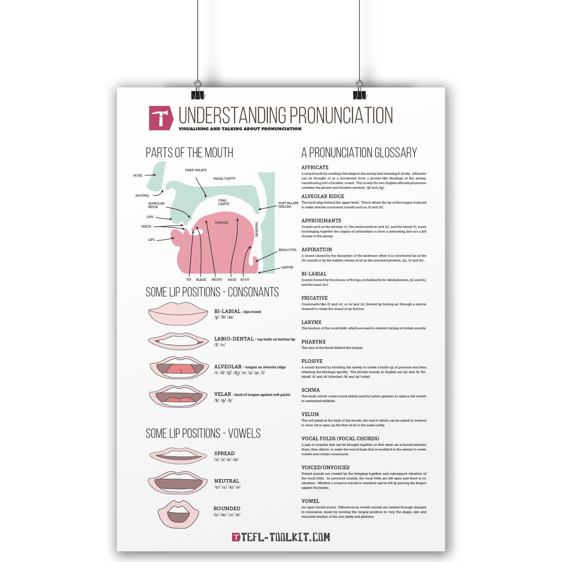 Understanding Pronunciation Poster | English Pronunciation | Virtual Poster - TEFL-Toolkit.com